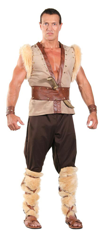 Adult Thor Viking Costume Mr Costumes