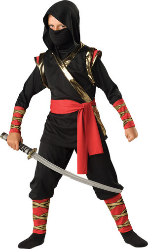 Boys Warrior Ninja Kids Costume