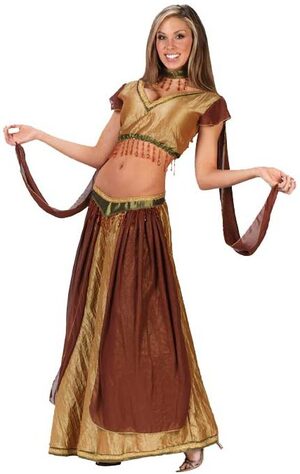 Womens Belly Dancer Adult Costume