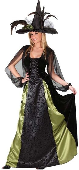 Womens Adult Maiden Gothic Witch Costume