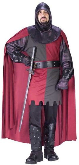 Mens Valiant Knight Adult Medieval Costume