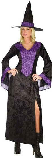 Womens Adult Purple Rose Witch Costume