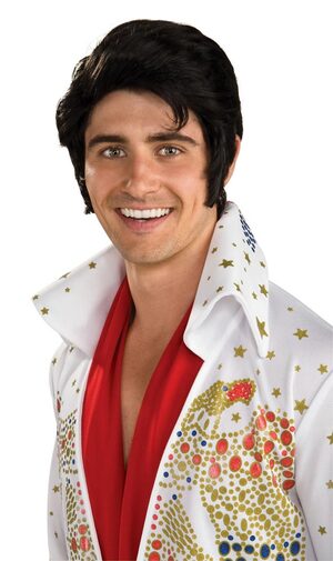 Adult Elvis Presley Wig