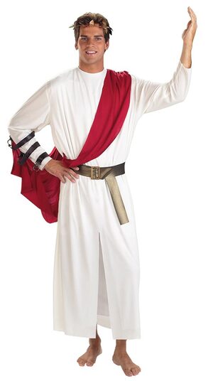 Mens Roman God Adult Toga Costume
