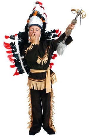 Brave Wolf Scout Indian Costume