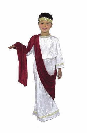 Boys Julius Caesar Toga Kids Costume