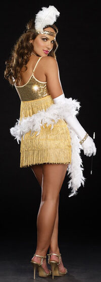Sexy Vaudeville Vixen Flapper Costume