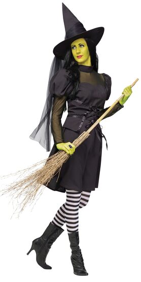 Miss Wicked Witch Adult Costume