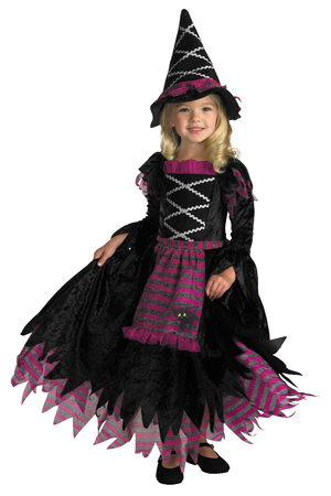 Girls Fairytale Toddler Witch Costume