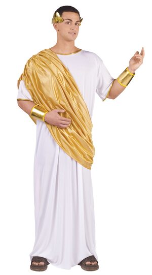 Mens Adult Hail Caesar Roman Costume