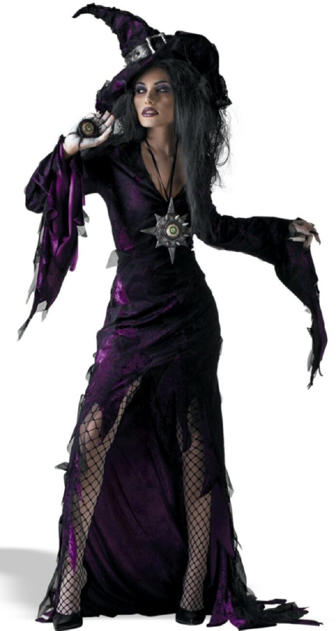 Sorceress Sexy Witch Costume Mr. Costumes