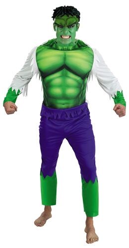 Hulk Adult Superhero Costume