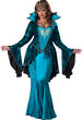 Mysterious Medieval Queen Plus Size Costume