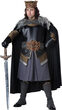 Medieval Majesty King Plus Size Costume