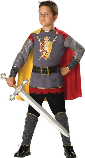 Loyal Medieval Knight Kids Costume