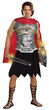 301 Roman Warrior Adult Costume