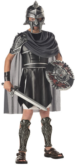 Medieval Mighty Gladiator Kids Costume