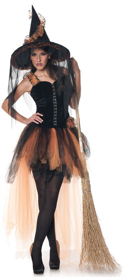 Sexy Hallow's Eve Witch Costume