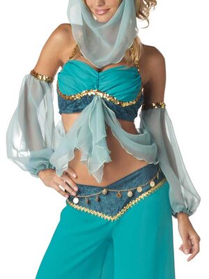 Harem's Jewel Adult Costume