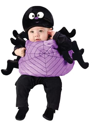 Itsy Bitsy Silly Spider Baby Costume
