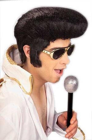 Adult 50s Style Rock and Roll Elvis Wig