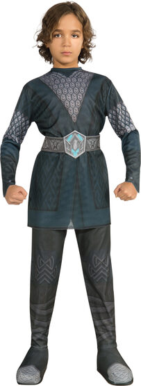 LOTR Dwarf Leader Thorin Kids Costume
