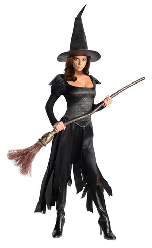 Oz Wicked Witch of the West Teen Costume