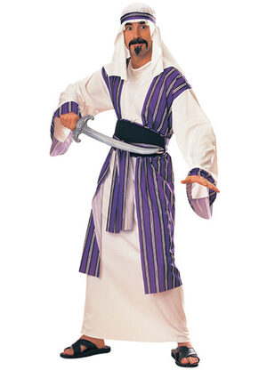 Desert Prince Arabian Adult Costume