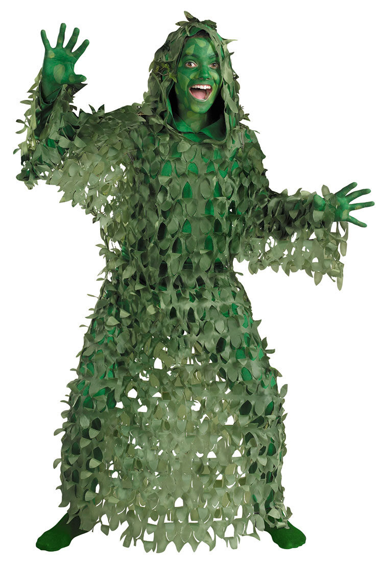 Rent & Buy Spinach Vegetable Kids Fancy Dress Costume Online in India