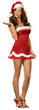 Holiday Honey Sexy Santa Costume