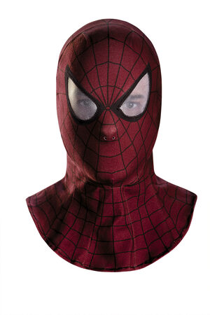Spiderman Movie Hooded Mask