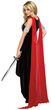 Sexy Scandalous Sword Warrior Costume