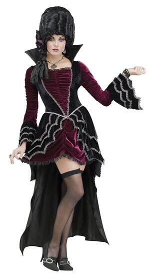 Sexy Gothic Victorian Vampiress Costume - Mr. Costumes