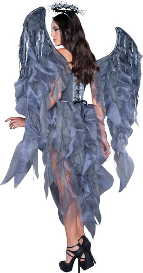 Sexy Dark Angel Desire Costume