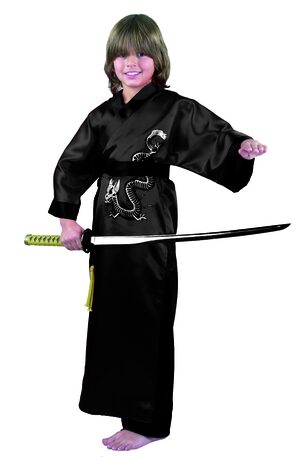Dragon Master Samurai Ninja Kids Costume