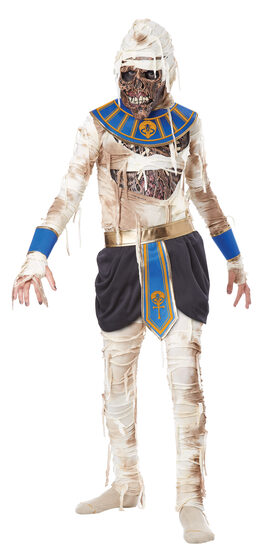 Pharaoh's Revenge Kids Costume