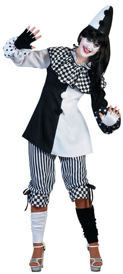 Court Jester Clown Adult Costume