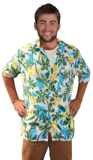 Funny Hawaiian Tourist Shirt Adult Costume