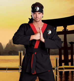 Hung Lo Ninja Adult Costume