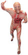 Muscle Morphsuit Adult Costume