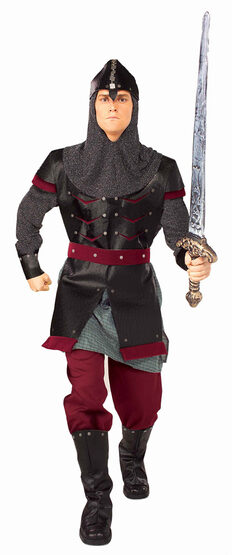 Mens Medieval Knight Adult Costume