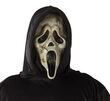 Scream Zombie Ghost Adult Costume
