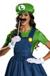 Super Mario Brothers Luigi Skirt Adult Costume