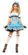Sexy Rebel Alice in Wonderland Costume