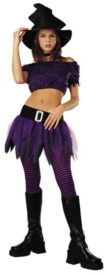 Adult Purple Witch Costume
