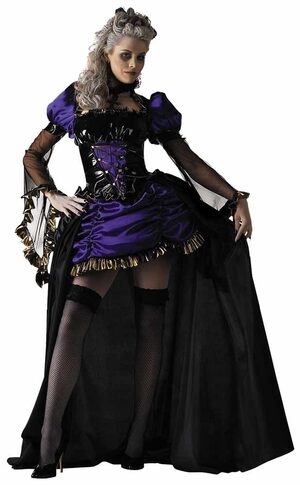 Lady In Waiting Gothic Adult Costume