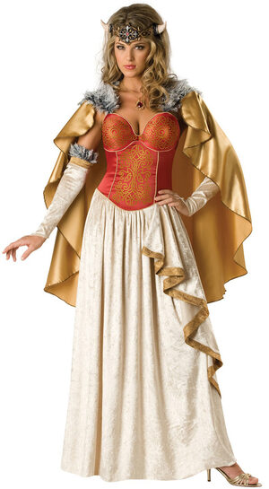 Viking Princess Adult Costume