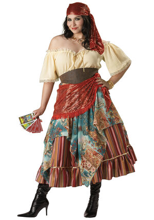 Fortune Teller Plus Size Gypsy Costume - Mr. Costumes