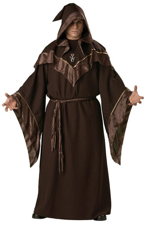 Mystic Sorcerer Plus Size Costume