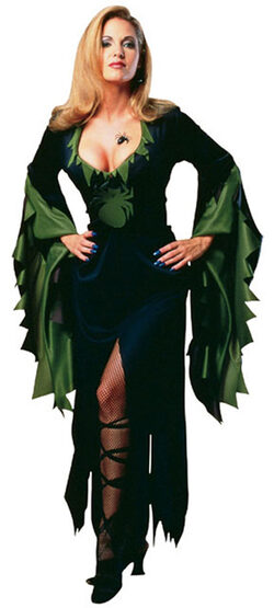 Womens Enchantra Sexy Witch Costume
